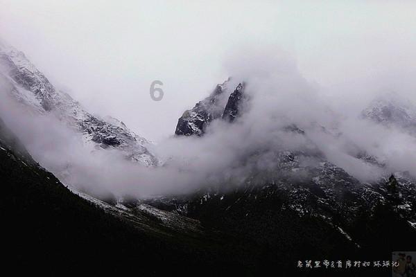 很急但很暖!大雪压塌大棚,武义高山上,8万斤萝卜留不住了